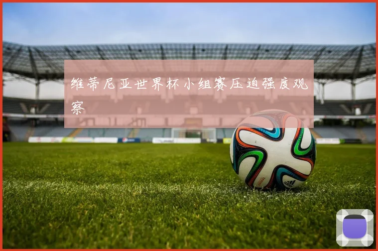 维蒂尼亚世界杯小组赛压迫强度观察