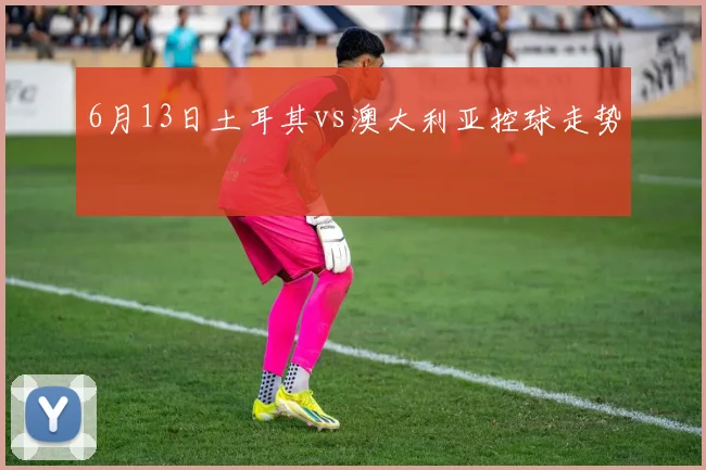 6月13日土耳其vs澳大利亚控球走势