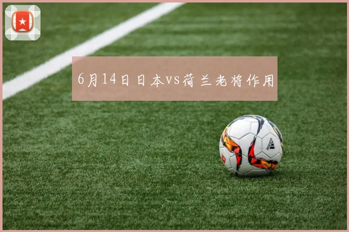 6月14日日本vs荷兰老将作用