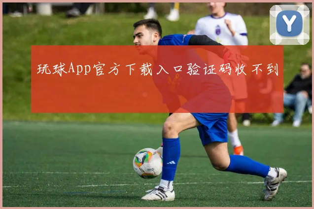 玩球App官方下载入口验证码收不到