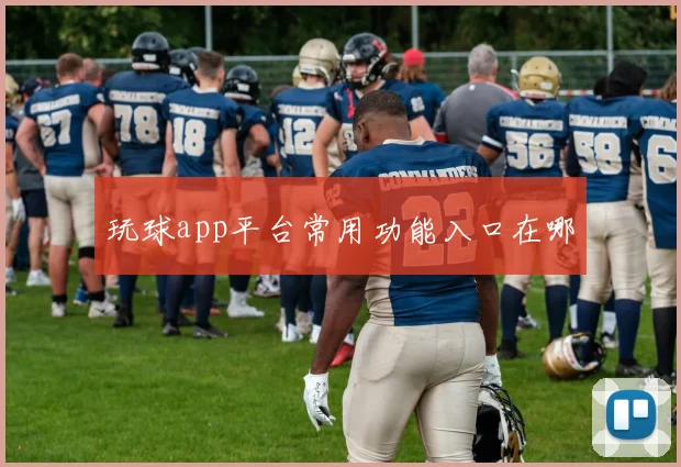 玩球app平台常用功能入口在哪