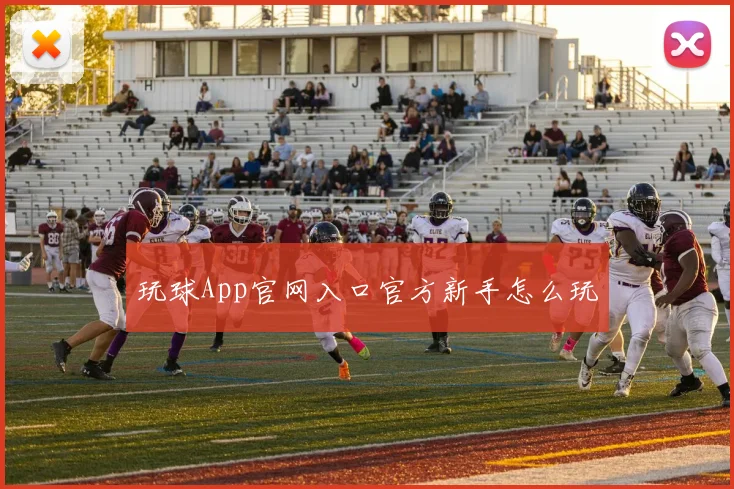 玩球App官网入口官方新手怎么玩