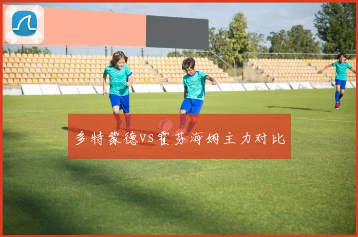 多特蒙德vs霍芬海姆主力对比